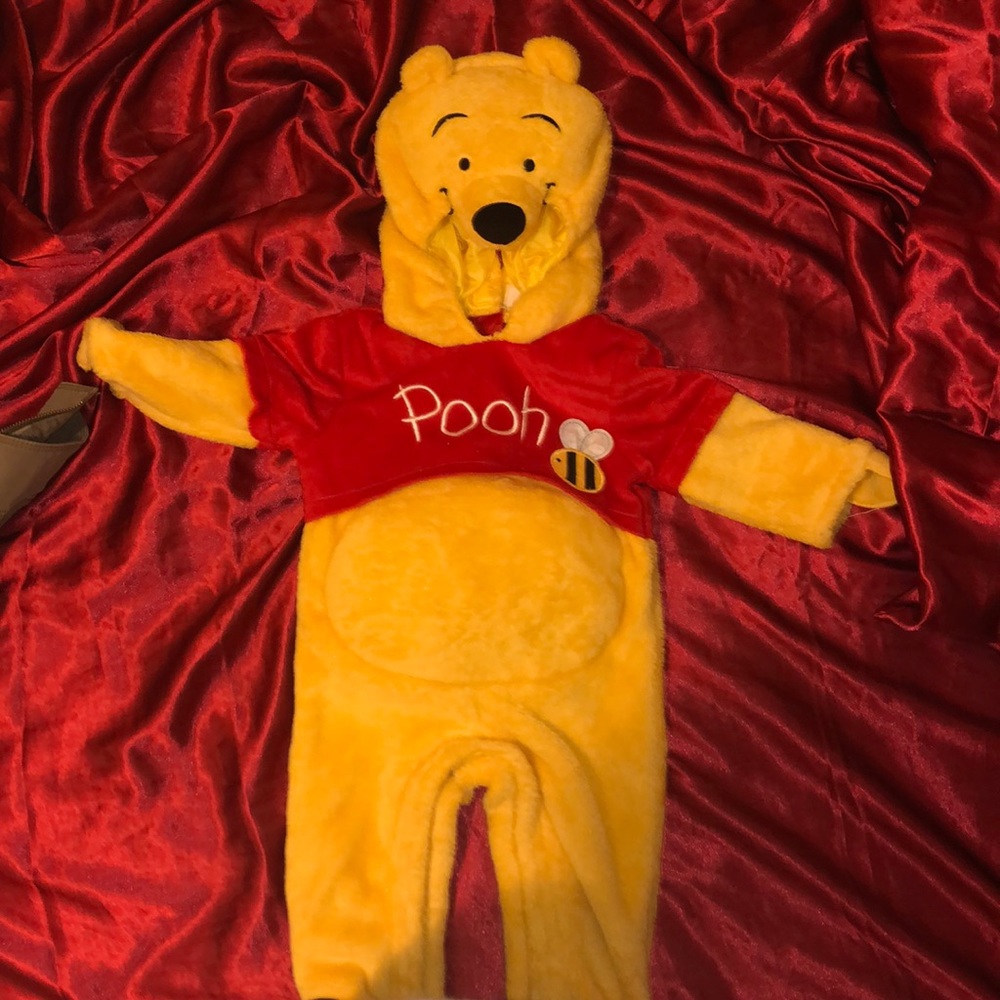 Winnie The Pooh Halloween Costume